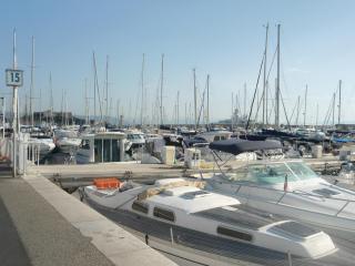 DSC01987.JPG