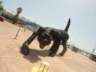 DSC02003.JPG