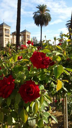 20140919_095738.jpg