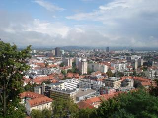 DSC08145.JPG