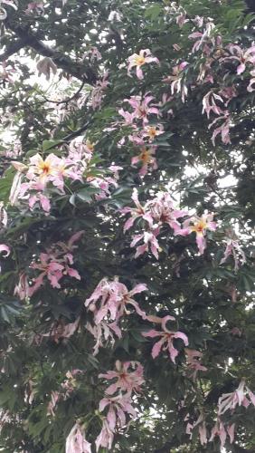 20140914_184525.jpg