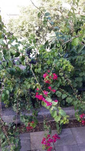 20140919_091135.jpg