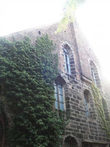 DSC01964 церковь святой клары.JPG