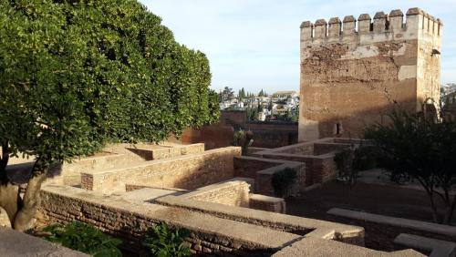 20140918_091825.jpg