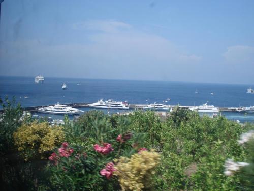 DSC06427.JPG