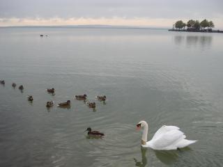 DSC08233.JPG
