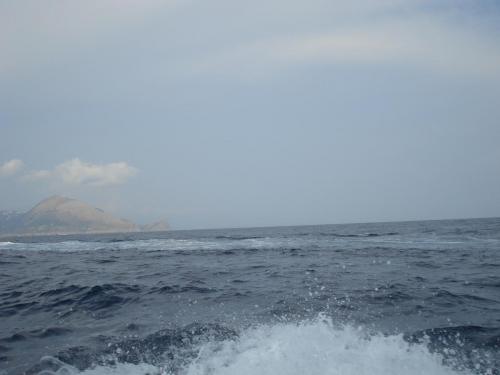 DSC06675.JPG