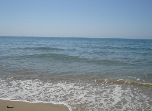 DSC05437.JPG