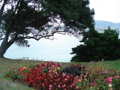 DSC01000.JPG