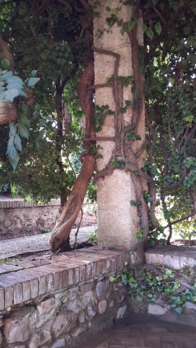 20140918_100928.jpg