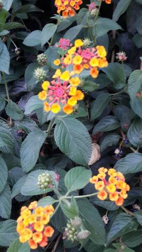 20150810_201213.jpg