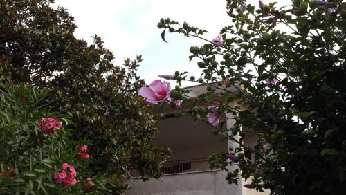 20150810_192655.jpg