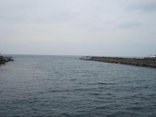 DSC01118.JPG