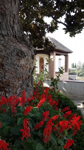 20140918_105001.jpg