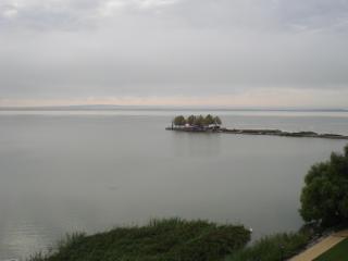DSC08234.JPG