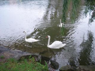 DSC08179.JPG
