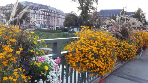 20140925_192248.jpg