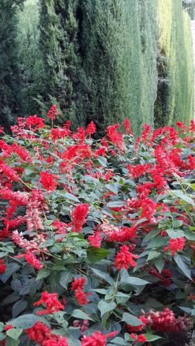 20140918_103554.jpg