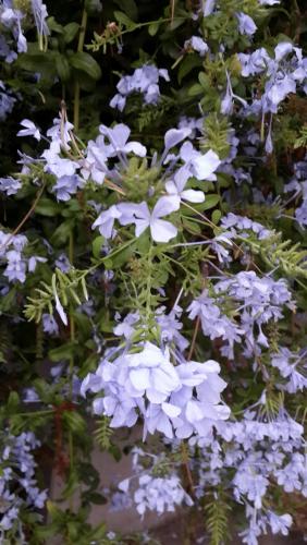 20150810_200951.jpg