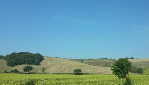 20150812_090516.jpg