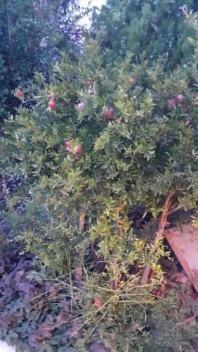 20140918_074723.jpg