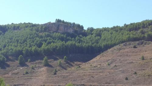20140915_114107.jpg