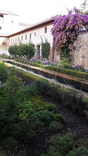 20140918_104116.jpg