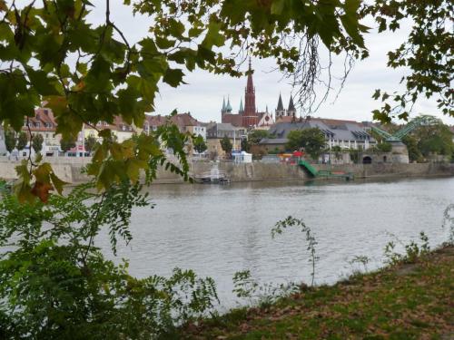 P1190619.JPG