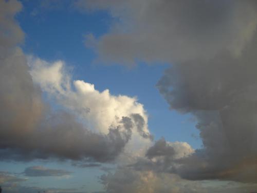 DSC09556.JPG