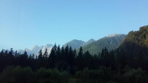 20150804_071118.jpg