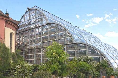 Пальмовый павильон.jpg