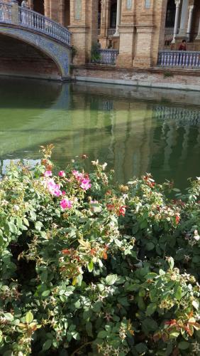20140919_102525.jpg