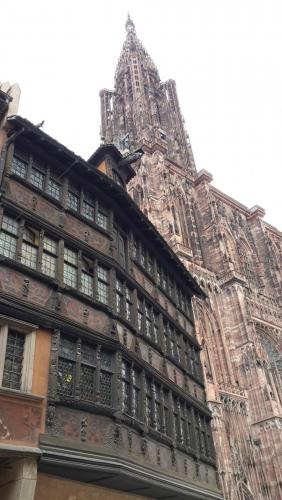 20140925_152404.jpg