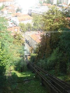 DSC08155.JPG
