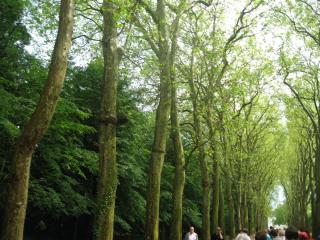 IMG_3131.JPG
