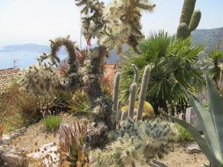 IMG_3859.JPG