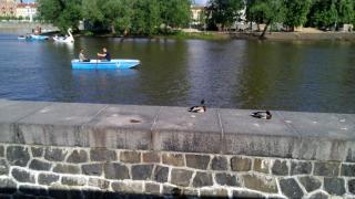 IMG_20130518_183541.jpg