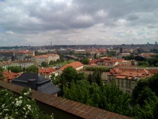 IMG_20130518_152052.jpg