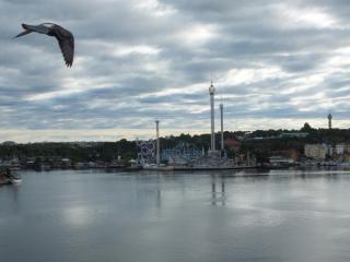 DSCF5491.JPG
