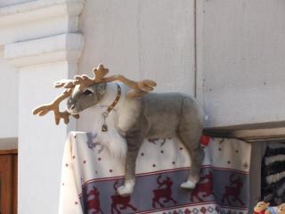DSCF5054.JPG