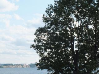 DSCF6338.JPG