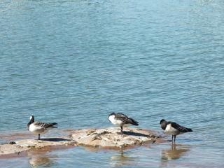 DSCF5012.JPG