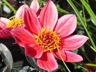 DSCF6114.JPG