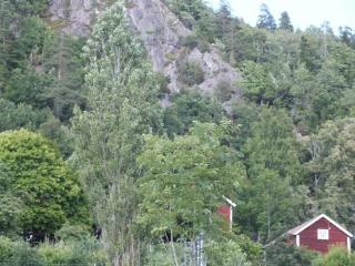 DSCF6345.JPG