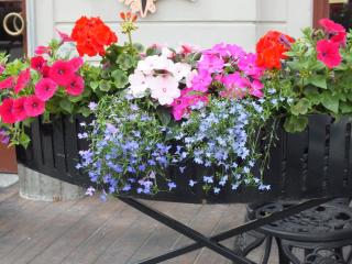 DSCF5669.JPG