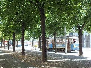 DSCF6198.JPG