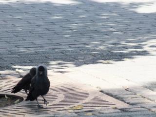 DSCF5107.JPG