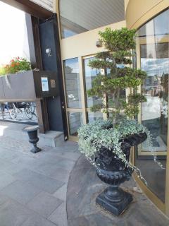 DSCF6240.JPG