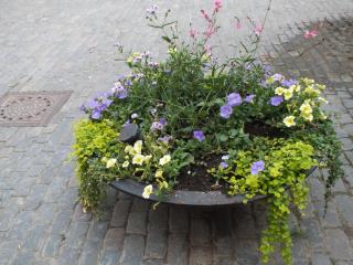 DSCF5663.JPG