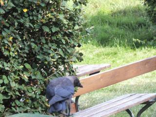 DSCF6341.JPG